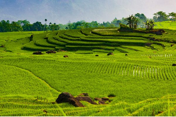 Pu Luong Nature Reserve